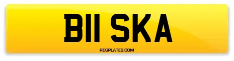 B11 SKA