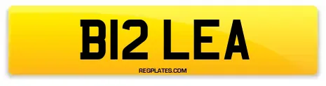 B12 LEA
