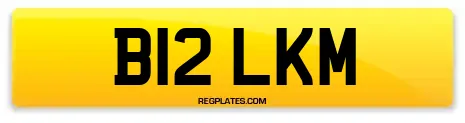 B12 LKM