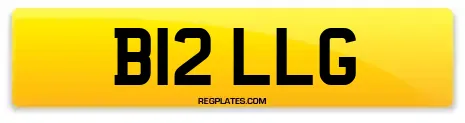 B12 LLG