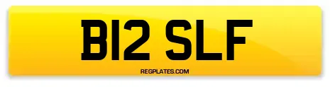 B12 SLF