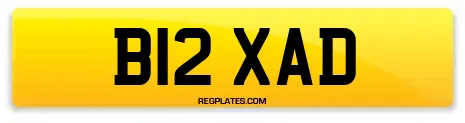 B12 XAD