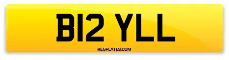 B12 YLL
