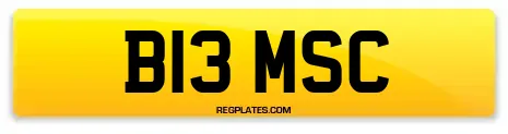 B13 MSC