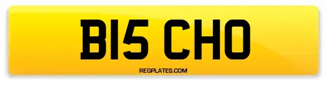 B15 CHO