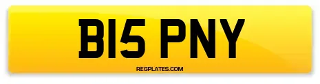 B15 PNY