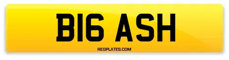 B16 ASH