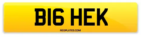 B16 HEK