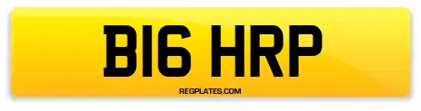 B16 HRP