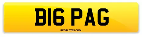 B16 PAG