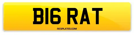 B16 RAT