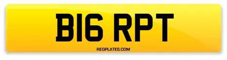 B16 RPT