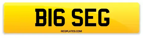 B16 SEG