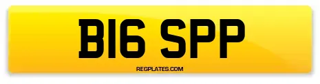 B16 SPP