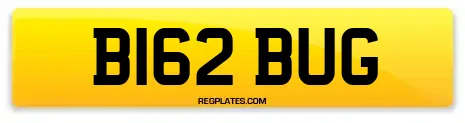 B162 BUG