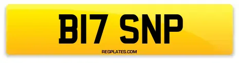 B17 SNP