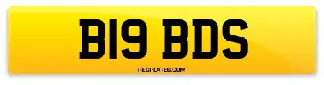 B19 BDS