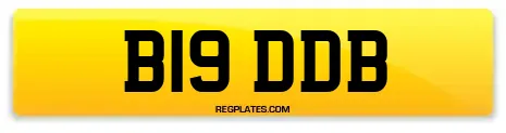 B19 DDB