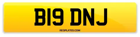 B19 DNJ
