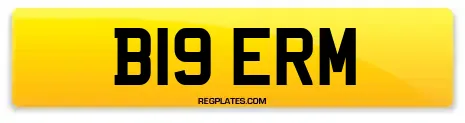 B19 ERM