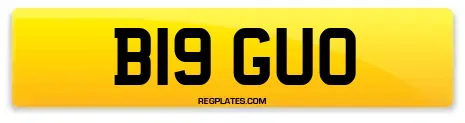 B19 GUO