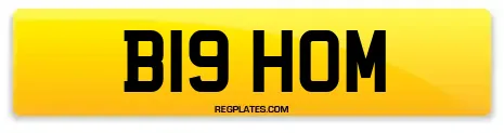 B19 HOM
