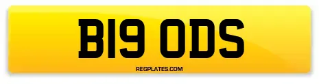 B19 ODS