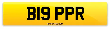 B19 PPR