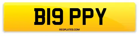 B19 PPY