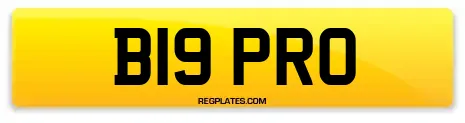 B19 PRO