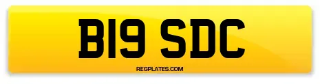 B19 SDC
