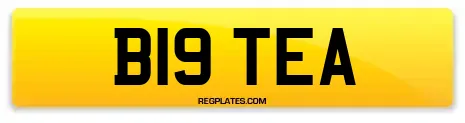 B19 TEA