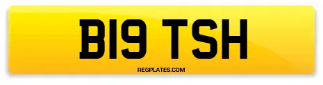 B19 TSH