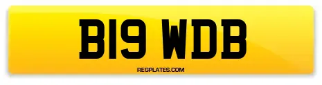 B19 WDB