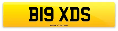 B19 XDS