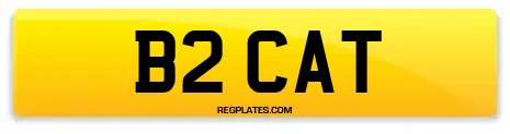 B2 CAT