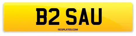 B2 SAU