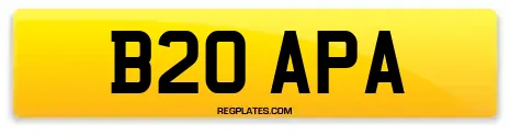 B20 APA