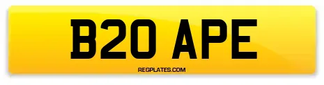 B20 APE