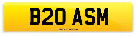 B20 ASM