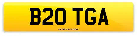 B20 TGA