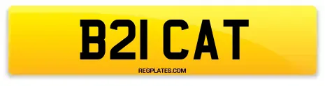 B21 CAT