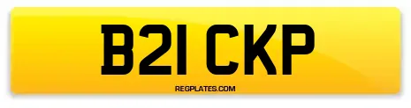 B21 CKP