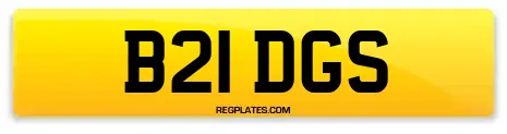 B21 DGS