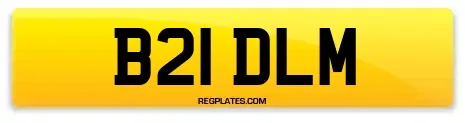 B21 DLM