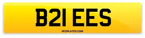 B21 EES