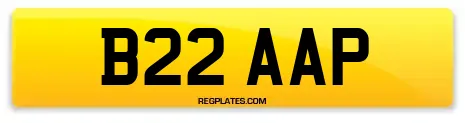 B22 AAP