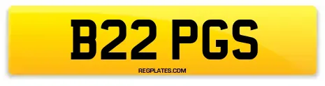 B22 PGS