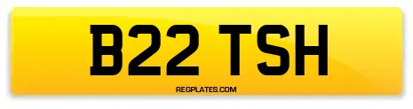 B22 TSH
