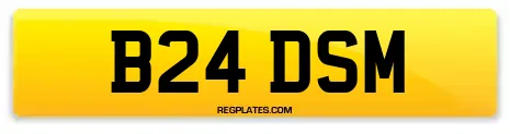 B24 DSM